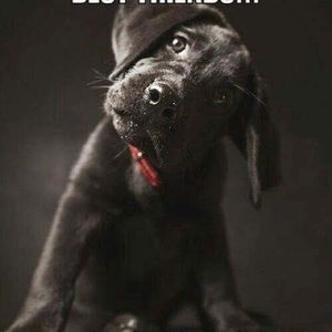 Meet your Posher, Michael